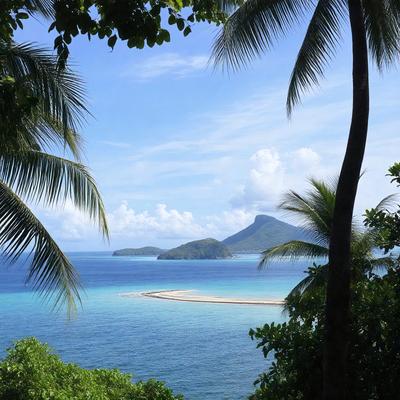 The primary subject of the image is a beautiful tropical island with a sandy beach and a lush green hillside. The setting is a clear blue ocean, and the visual style is a photo. The colors and mood of the image are vibrant and serene, with the blue ocean and greenery creating a sense of tranquility and natural beauty.
